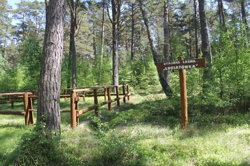 Комплексы для отдыха с коттеджами/бунгало Oaza Lubiatowo Любятово-36